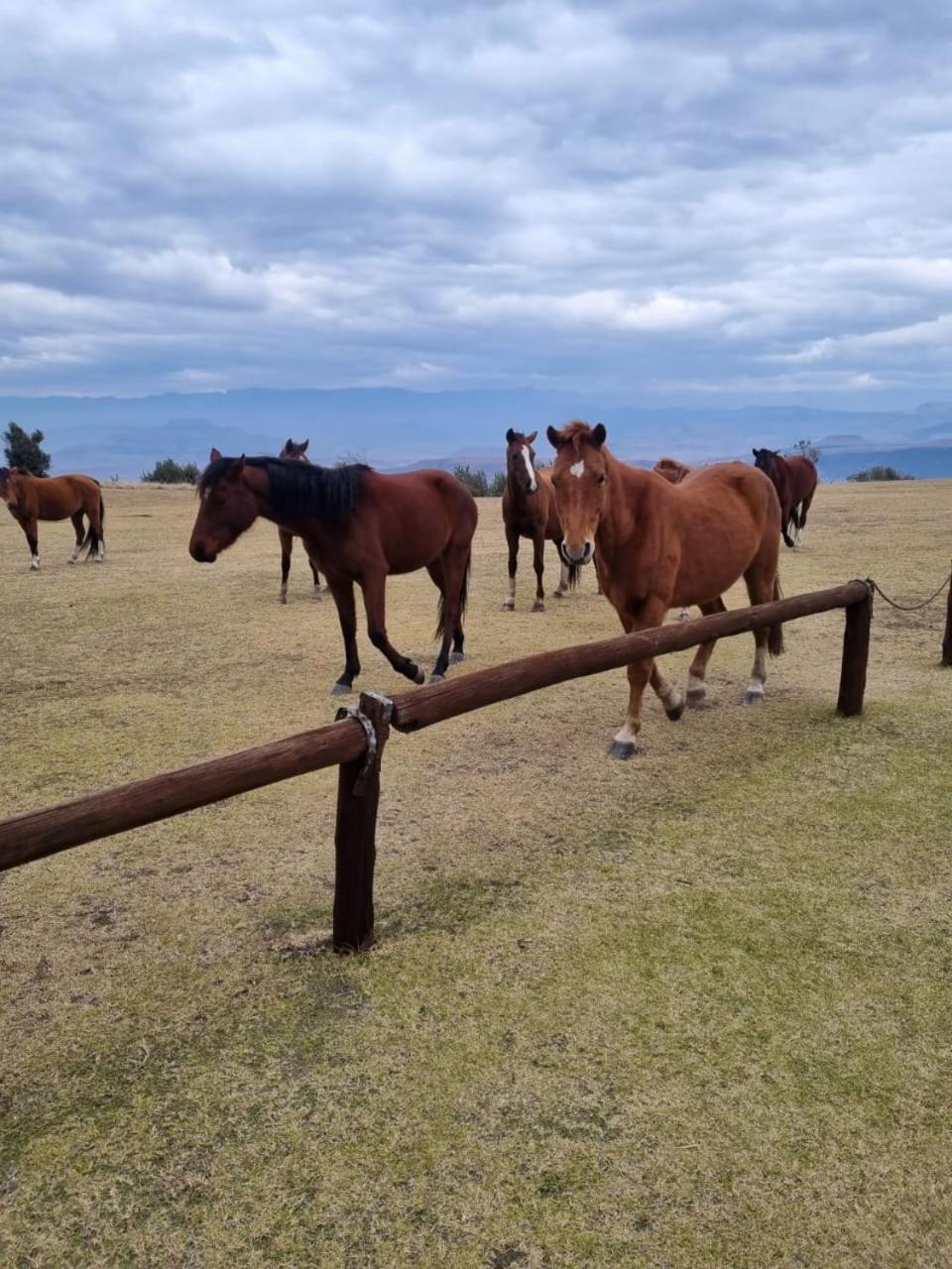 Hostal Drakensberg Mountain Retreat Bergville Exterior foto