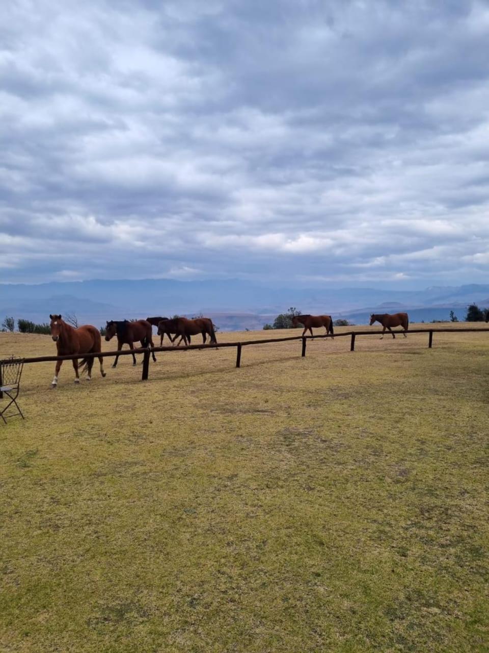 Hostal Drakensberg Mountain Retreat Bergville Exterior foto